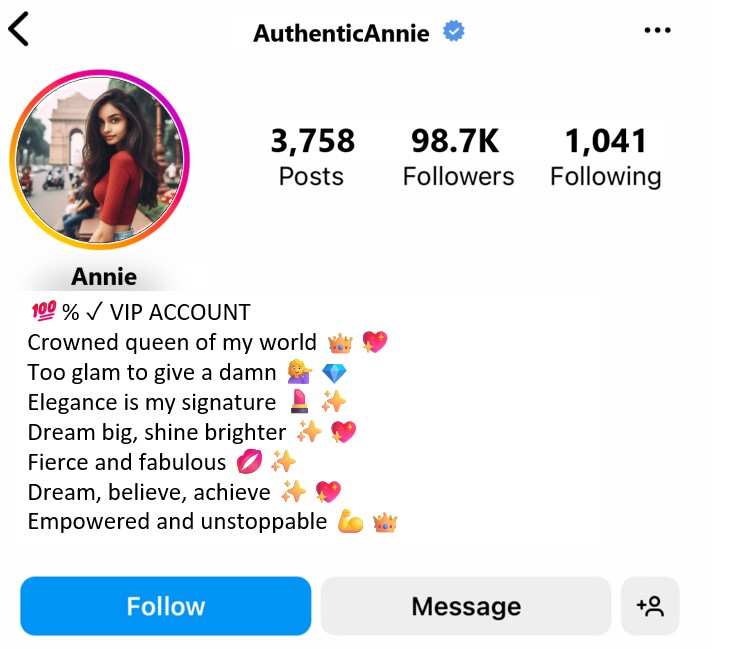 Instagram VIP Bio For Girls