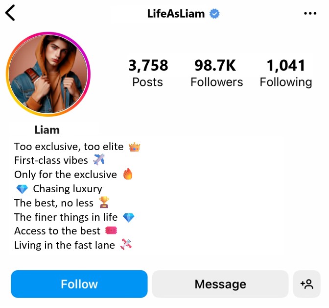 best instagram vip bio