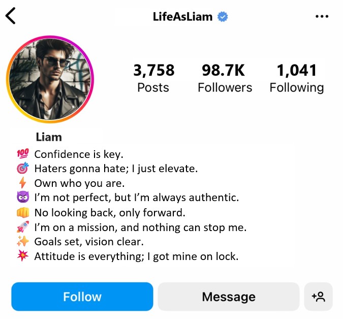 instagram bio for boys attitude