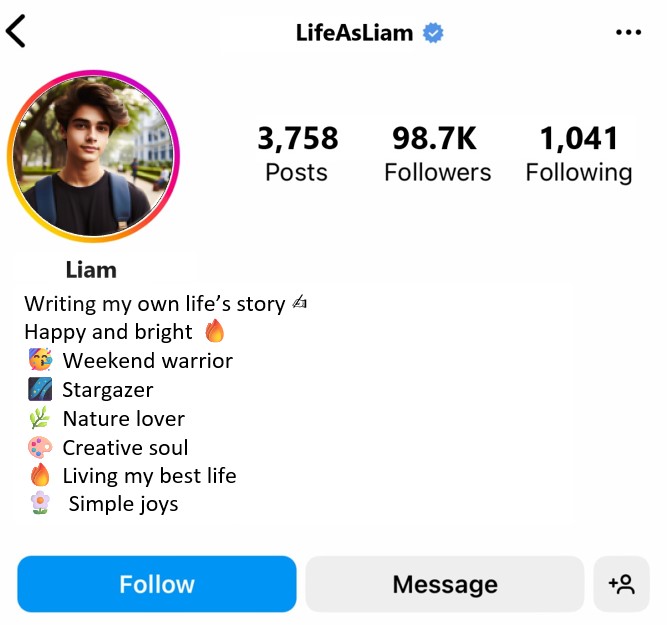 instagram bio for boys simple