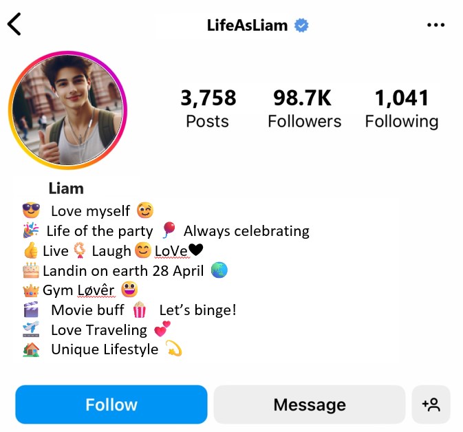 instagram bio for boys stylish