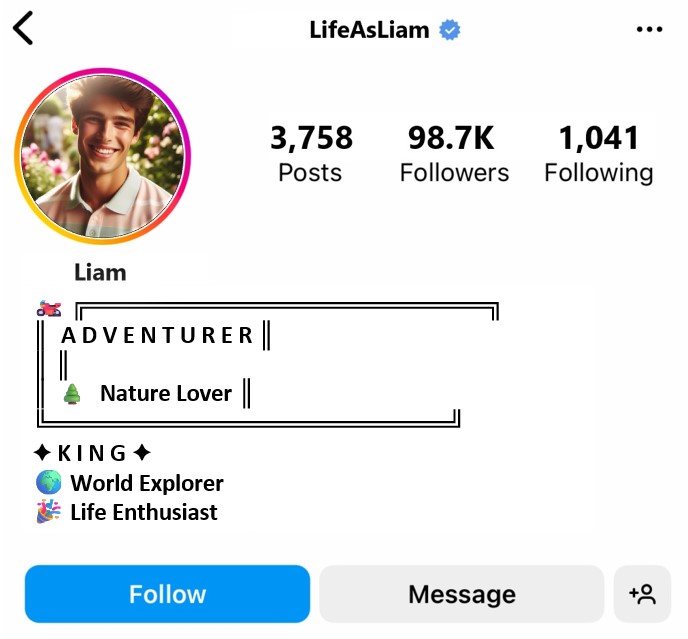 Instagram Bio For Boys Stylish Font