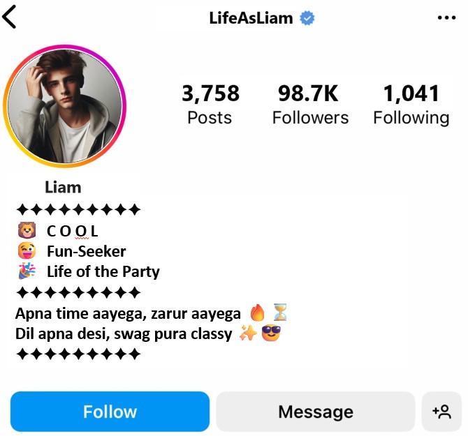 Instagram Bio For Boys Stylish Font