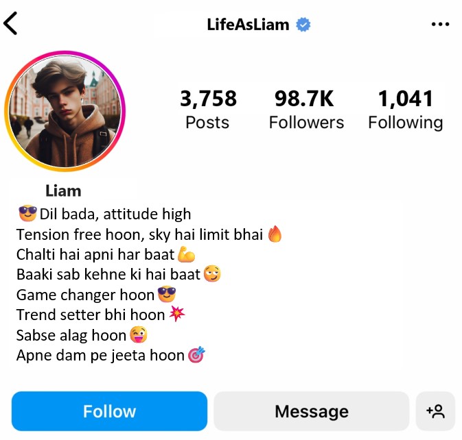 Instagram Bio For Boys Stylish Font