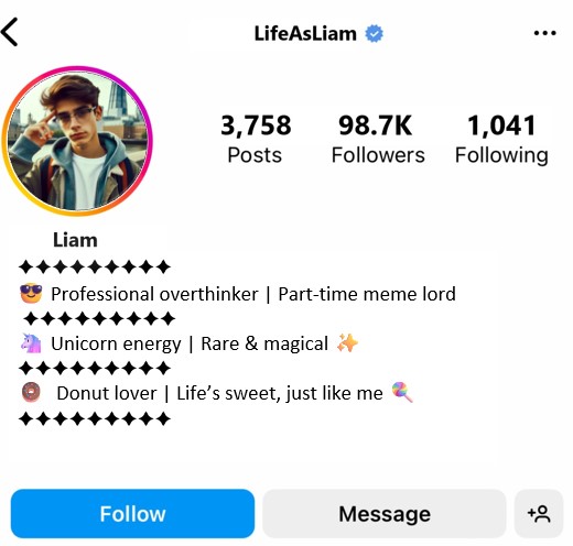 Instagram Bio For Boys Attitude Instagram Bio For Boys Funny