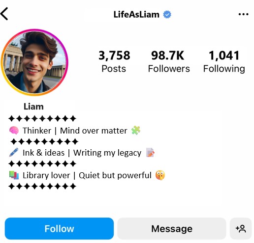 Instagram Bio For Boys Attitude Instagram Bio For Boys Intellectual