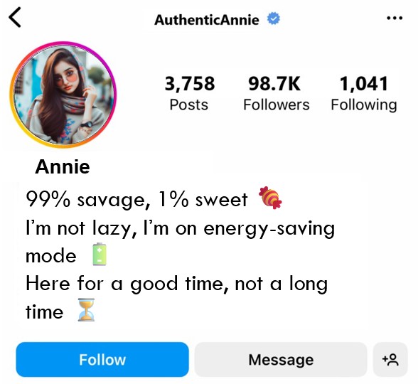 Instagram Bio For Girls  Funny